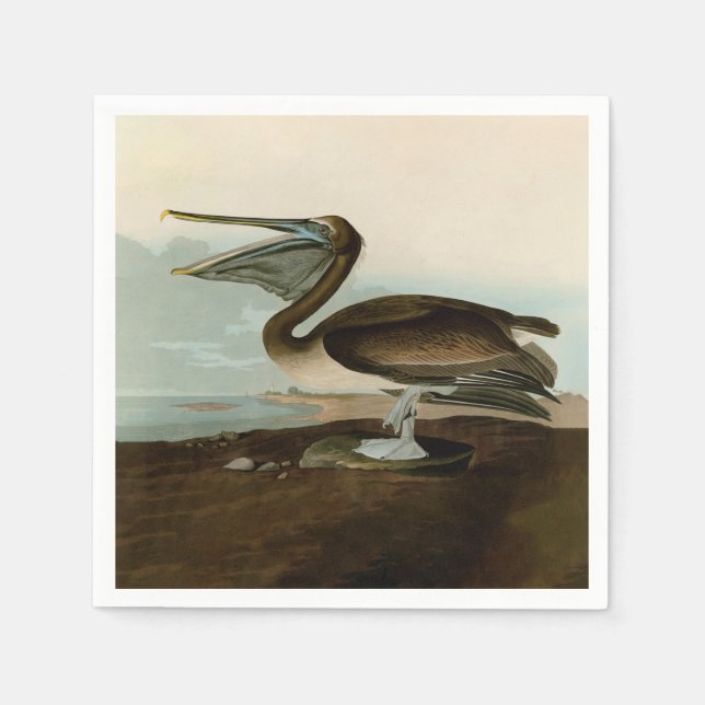 John James Audubon Brown Pelican Artwork Painting Pappersservett (Framsidan)