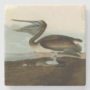 John James Audubon Brown Pelican Artwork Painting Stenunderlägg
