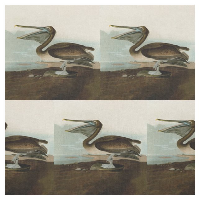 John James Audubon Brown Pelican Artwork Painting Tyg (Provkarta)