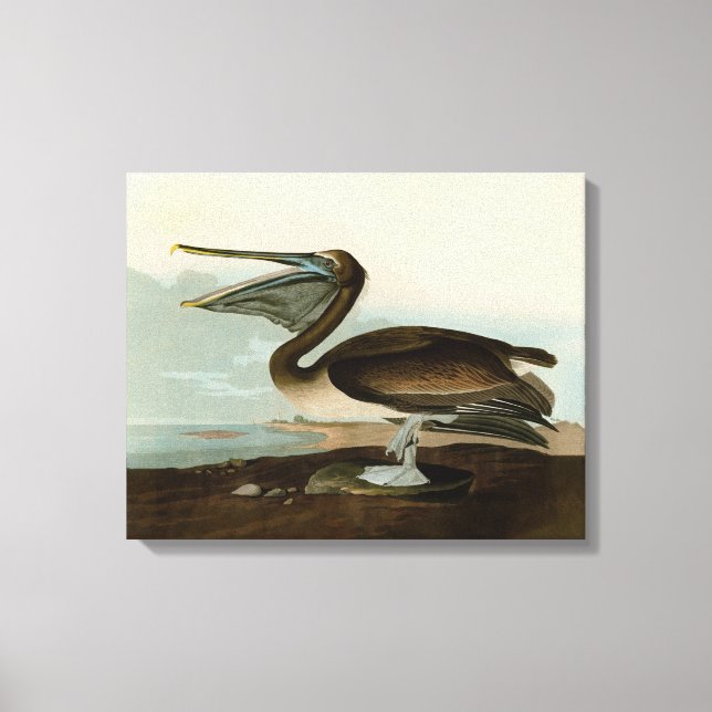 John James Audubon Brun Pelikan Konst Konstverk Canvastryck (Framsida)