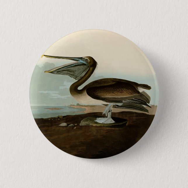 John James Audubon Brun Pelikan Konst Konstverk Knapp (Framsida)