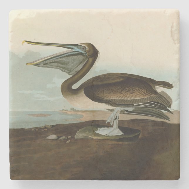 John James Audubon Brun Pelikan Konst Konstverk Stenunderlägg (Framsidan)