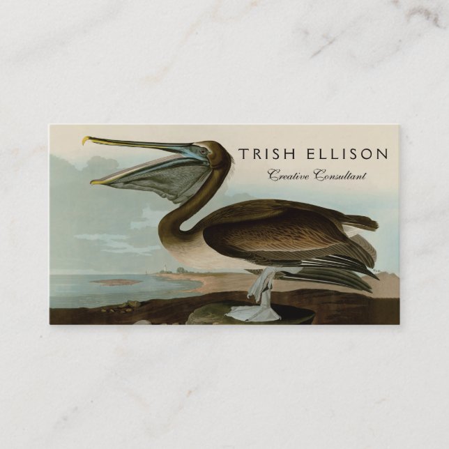 John James Audubon Brun Pelikan Konst Konstverk Visitkort (Framsida)