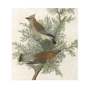John James Audubon Cedar Waxwing Fågeltryck Anteckningsblock