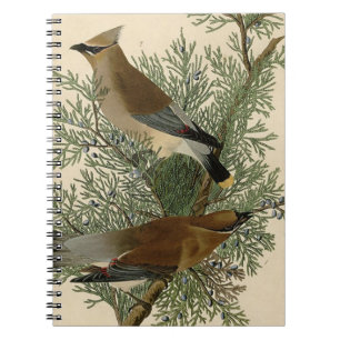 John James Audubon Cedar Waxwing Fågeltryck Anteckningsbok