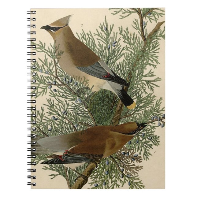 John James Audubon Cedar Waxwing Fågeltryck Anteckningsbok (Framsidan)