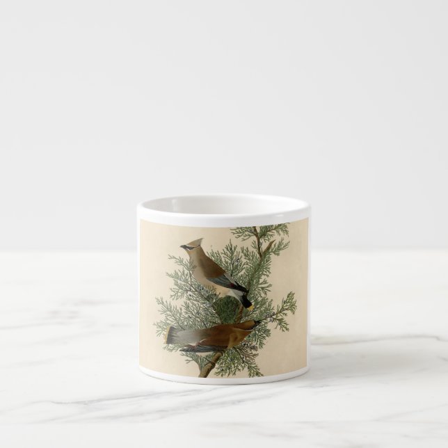 John James Audubon Cedar Waxwing Fågeltryck Espressomugg (Framsidan)
