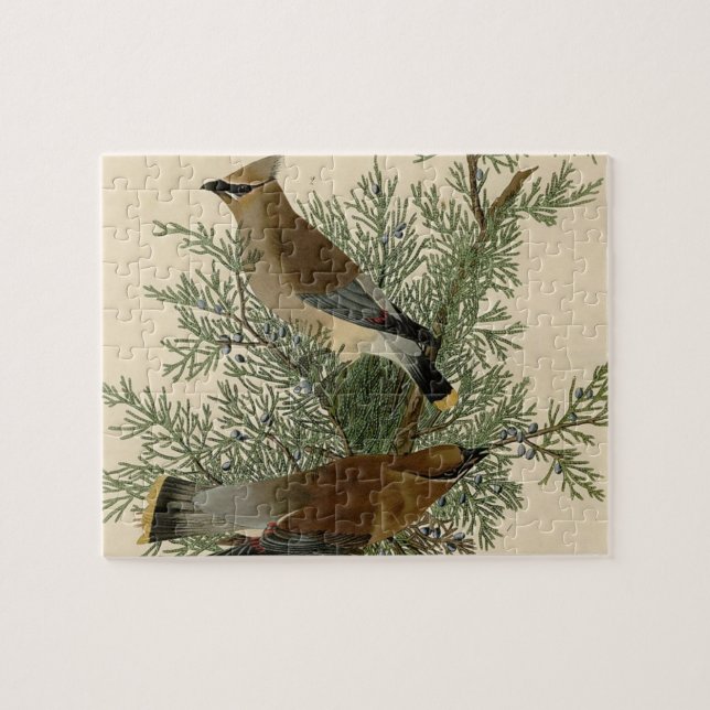 John James Audubon Cedar Waxwing Fågeltryck Pussel (Horisontell)