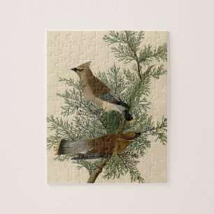 John James Audubon Cedar Waxwing Fågeltryck Pussel