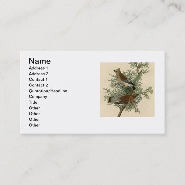 John James Audubon Cedar Waxwing Fågeltryck Visitkort (Framsida)