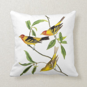 John James Audubon kudder den gula tanageren Kudde