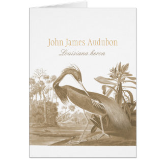John James Audubon Lousiana heron CC0750 Bird Hälsningskort