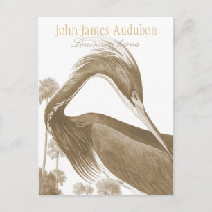John James Audubon Lousiana heron CC0752 Bird Vykort