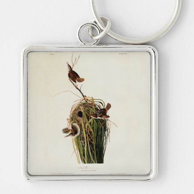 John James Audubon Marsh Wren Fågeltryck Fyrkantig Silverfärgad Nyckelring (Framsidan)