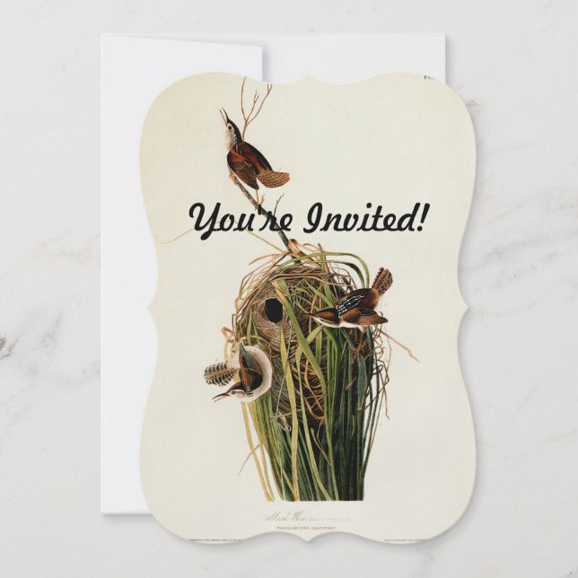 John James Audubon Marsh Wren Fågeltryck Inbjudningar (Framsida)