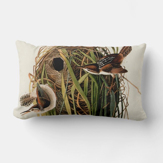 John James Audubon Marsh Wren Fågeltryck Lumbarkudde (Framsida)