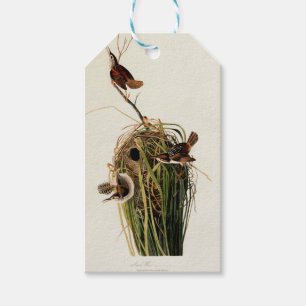 John James Audubon Marsh Wren Fågeltryck Presentetikett