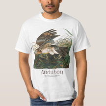 John James Audubon, rödaxad Hawk