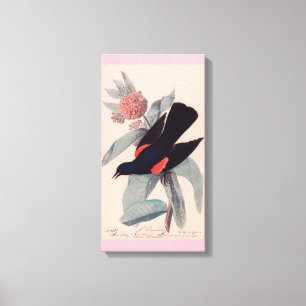John James Audubon, rödvingad svart fågel Canvastryck