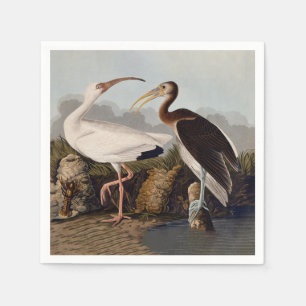 John James Audubon Vit Ibis Fågeltryck Klassiker Pappersservett