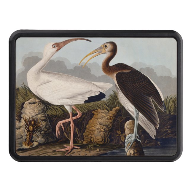 John James Audubon White Ibis Bird Print Classic Dragkroksskydd (Framsidan)