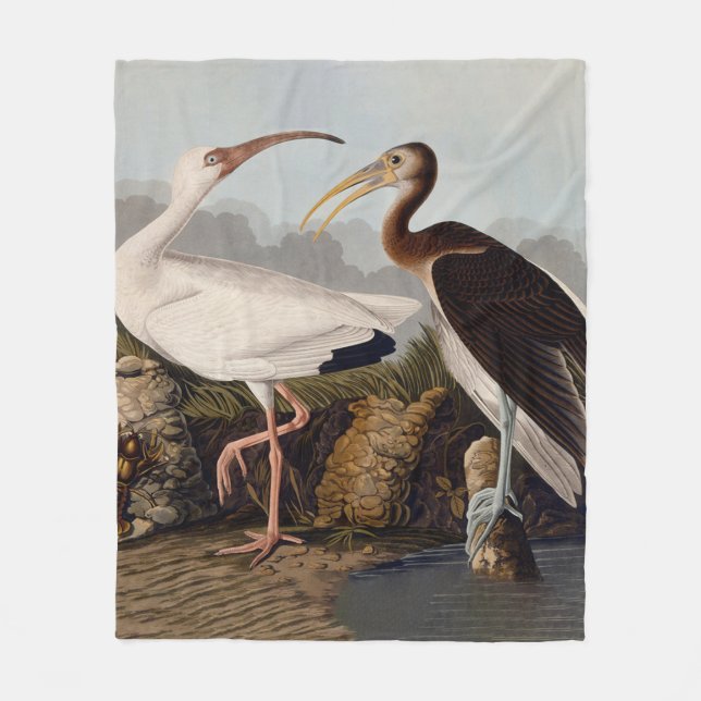 John James Audubon White Ibis Bird Print Classic Fleecefilt (Framsidan)