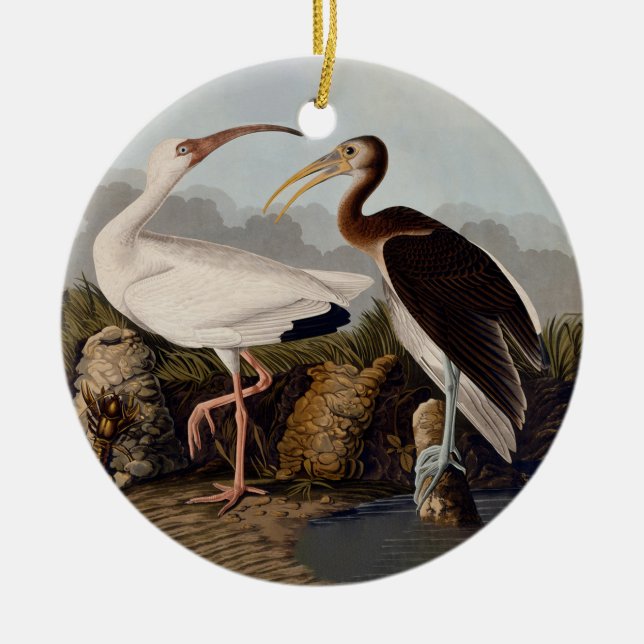 John James Audubon White Ibis Bird Print Classic Julgransprydnad Keramik (Framsidan)