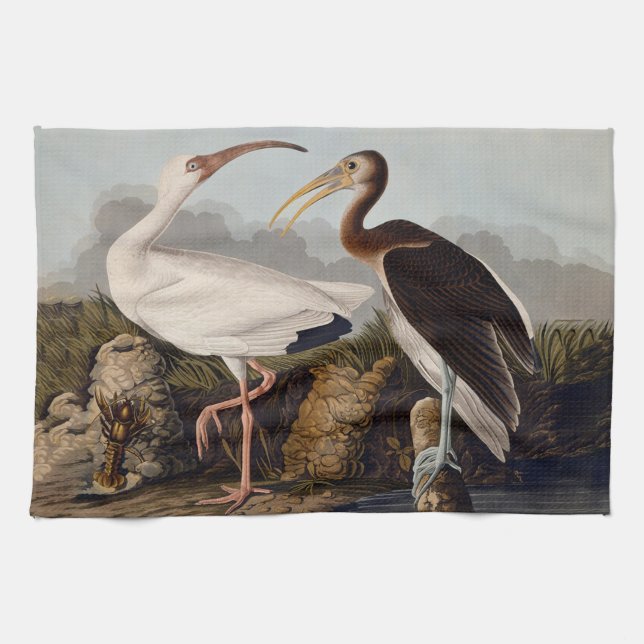 John James Audubon White Ibis Bird Print Classic Kökshandduk (Horisontell)