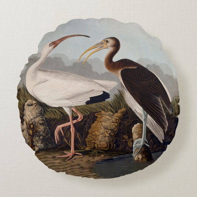 John James Audubon White Ibis Bird Print Classic Rund Kudde (Framsidan)