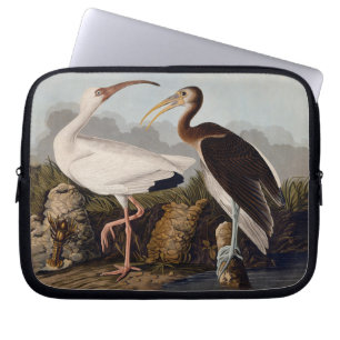 John James Audubon White Ibis Fågeltryck Klassisk Laptop Fodral