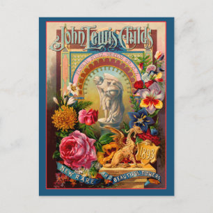 John Lewis Barn Sällsynt Flowers Seed Packet Vykort