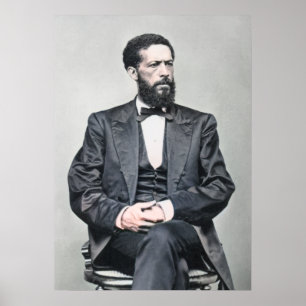 John Mercer Langston - Politikar Poster