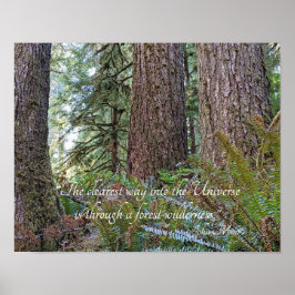 John Muir Naturcitat om Skogsvildmark Poster