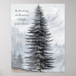 John Muir Quote Forest Wilderness Skriv ut Poster