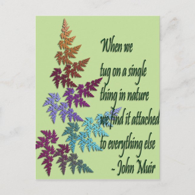 john muir - vykort (Framsida)
