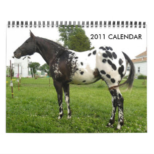 JOHN OCH FÖR MARIE CRAIGS FAMILJAPPALOOSAS KALENDER
