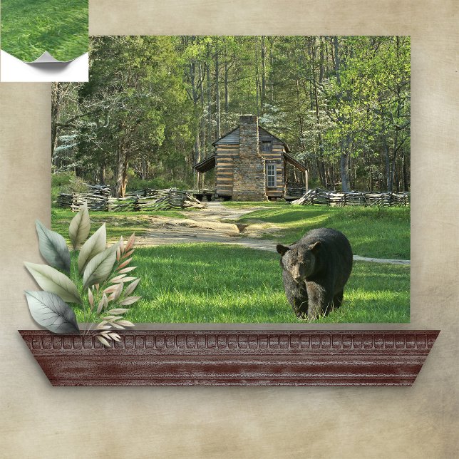 John Oliver Black Bear Cabin Poster (Skapare uppladdad)