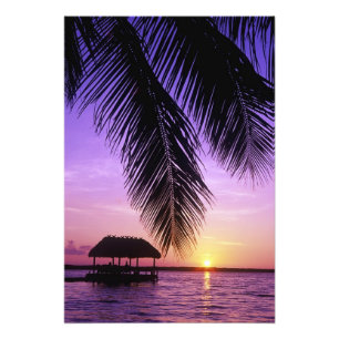 John Pennekamp State Park, Florida Keys, Key Fototryck