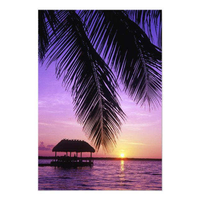 John Pennekamp State Park, Florida Keys, Key Fototryck (Framsidan)