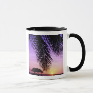 John Pennekamp State Park, Florida Keys, Key Mugg