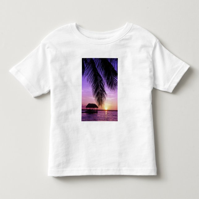 John Pennekamp State Park, Florida Keys, Key Tee (Framsida)