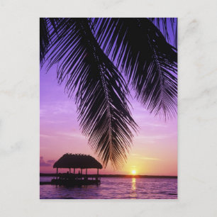 John Pennekamp State Park, Florida Keys, Key Vykort