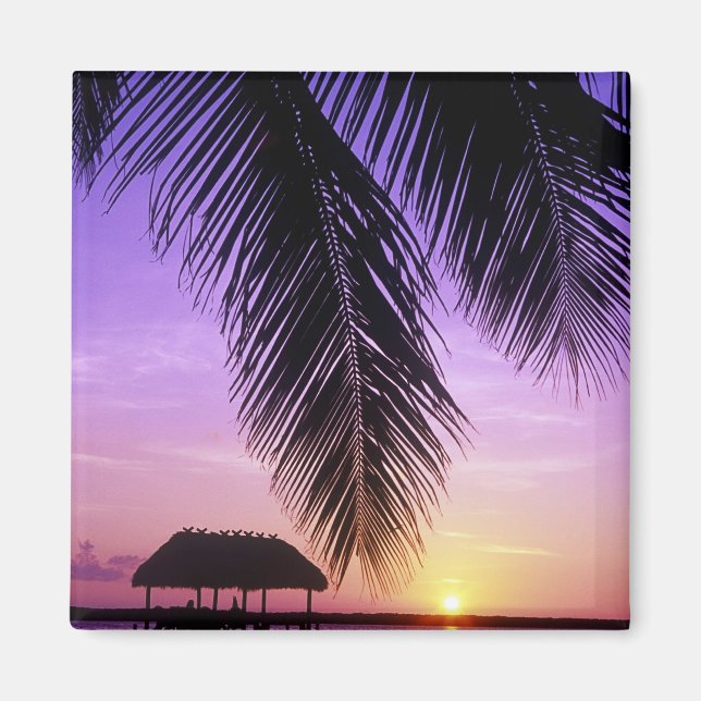 John Pennekamp State Park, Florida Nycklar, Nyckel Magnet (Framsidan)