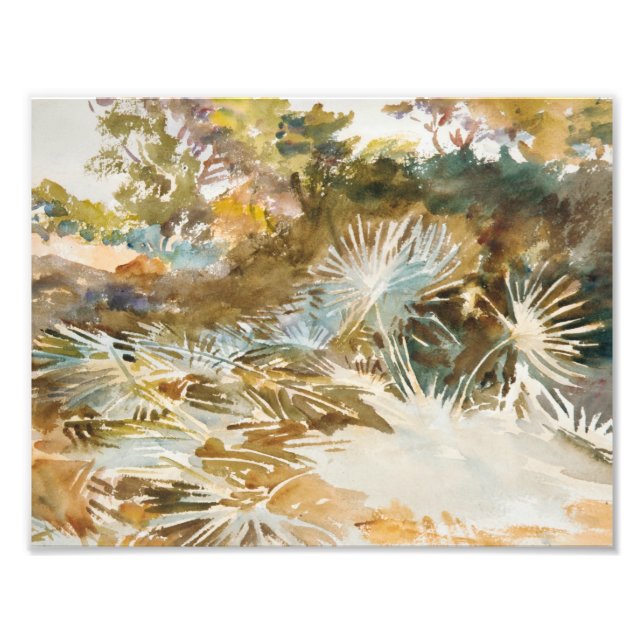 John Singer Sargent - Liggande med Palmettos Fototryck (Framsidan)