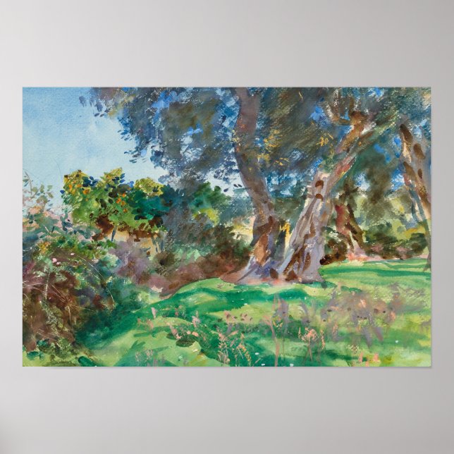 John Singer Sargent - Olive Träd, Corfu Poster (Framsidan)