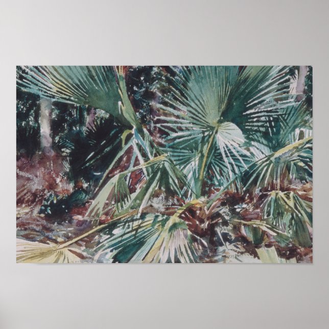John Singer Sargent - Palmettos Poster (Framsidan)