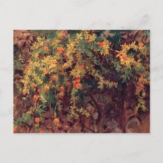 John Singer Sargent- Pomegranater Vykort