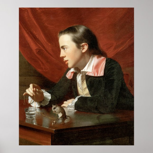 John Singleton Copley Boy med ekorre Poster (Framsidan)