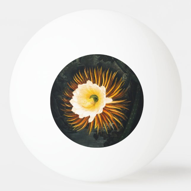 John Thornton The Nght-Blowing Cereus Botanical Pingisboll (Framsidan)