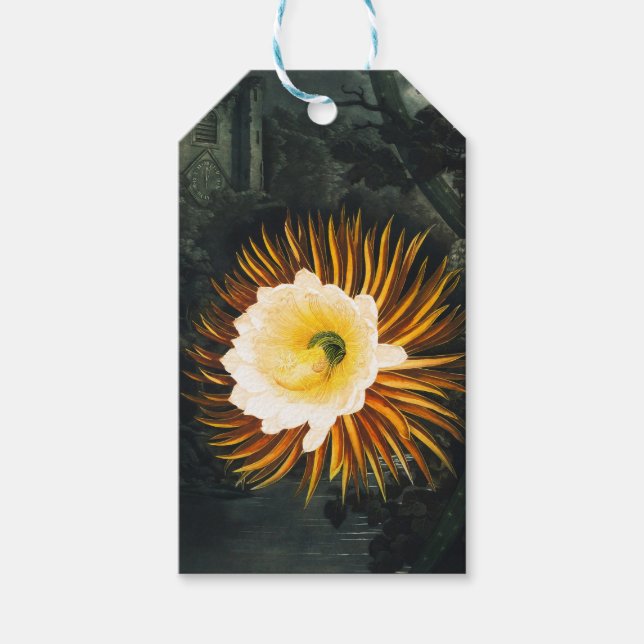 John Thornton The Nght-Blowing Cereus Botanical Presentetikett (Framsidan)